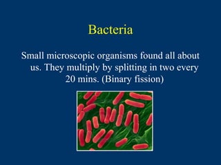 Bacteria
Small microscopic organisms found all about
 us. They multiply by splitting in two every
          20 mins. (Binary fission)
 