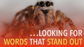 …LOOKING FOR
WORDS THAT STAND OUT
 