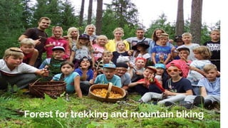 Forest for trekking and mountain biking
 