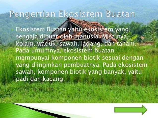 Biologi Kelas X 10 Sma Power Point