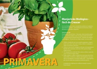 Manjericão Biológico -
                fácil de Crescer
                As ervas biológicas, como o manjericão, podem ser as plantas
                mais fáceis de plantar – principalmente na Primavera. Basta
                plantares as sementes e esperares.

                Vais precisar de:
                Um pequeno vaso de barro · Uma mão-cheia de pedras peque-
                nas e terra do teu jardim ou de um parque (pede autorização
                aos teus pais antes de fazeres buracos!) · Sementes de manjeri-
                cão biológicas · Um pau de um chupa-chupa e um marcador

                1. Alinha o fundo do vaso com as pedras pequenas, e depois
                   junta a terra até o vaso estar ¾ cheio. Deita 5-6 sementes e
                   cobre-as ao de leve com terra.
                2. Coloca o vaso ao sol, e assegura-te de que a terra permanece
                   húmida até as sementes crescerem. Põe o pau do chupa-
                   chupa na terra.
                3. Vê o manjericão a cada dois dias e marca a altura a que este
                   cresce no pau de chupa-chupa.
                4. Podes começar a colher o manjericão assim que este já tiver
                   várias folhas. Se fizeres a colheita com frequência vais enco-




    PRIMAVERA
                   rajar as tuas plantas a c
                                           crescerem ainda mais – o que significa
                   que vais ter ainda mais manjericão saboroso para ti.

                   O manjericão é delicio no molho de tomate ou pesto!
                                  delicioso
                   Experimenta!
6
 
