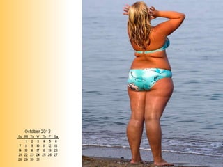 Kingfisher Calendar - The Cash Crunch Edition
