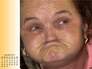 Kingfisher Calendar - The Cash Crunch Edition