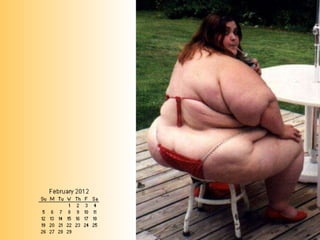 Kingfisher Calendar - The Cash Crunch Edition