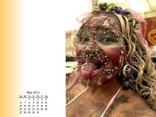 Kingfisher Calendar - The Cash Crunch Edition