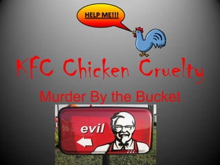 HELP ME!!! KFC Chicken Cruelty Murder By the Bucket 