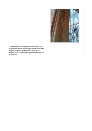 Als Inneneinrichtung dienen im Moment ein 
Regalbrett in dem Futternäpfe und Badewanne 
eingelassen sind. Ein kleiner Baum, eine 
Schaukel und einen selbst gebauten Stamm aus 
Naturholz. 
 