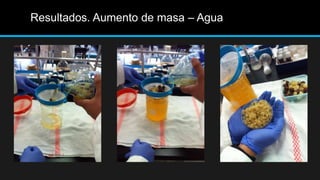 Resultados. Aumento de masa – Agua
 