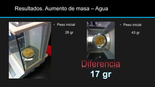 Resultados. Aumento de masa – Agua
• Peso inicial
26 gr
• Peso inicial
43 gr
 