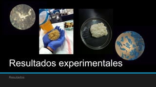 Resutados
Resultados experimentales
 