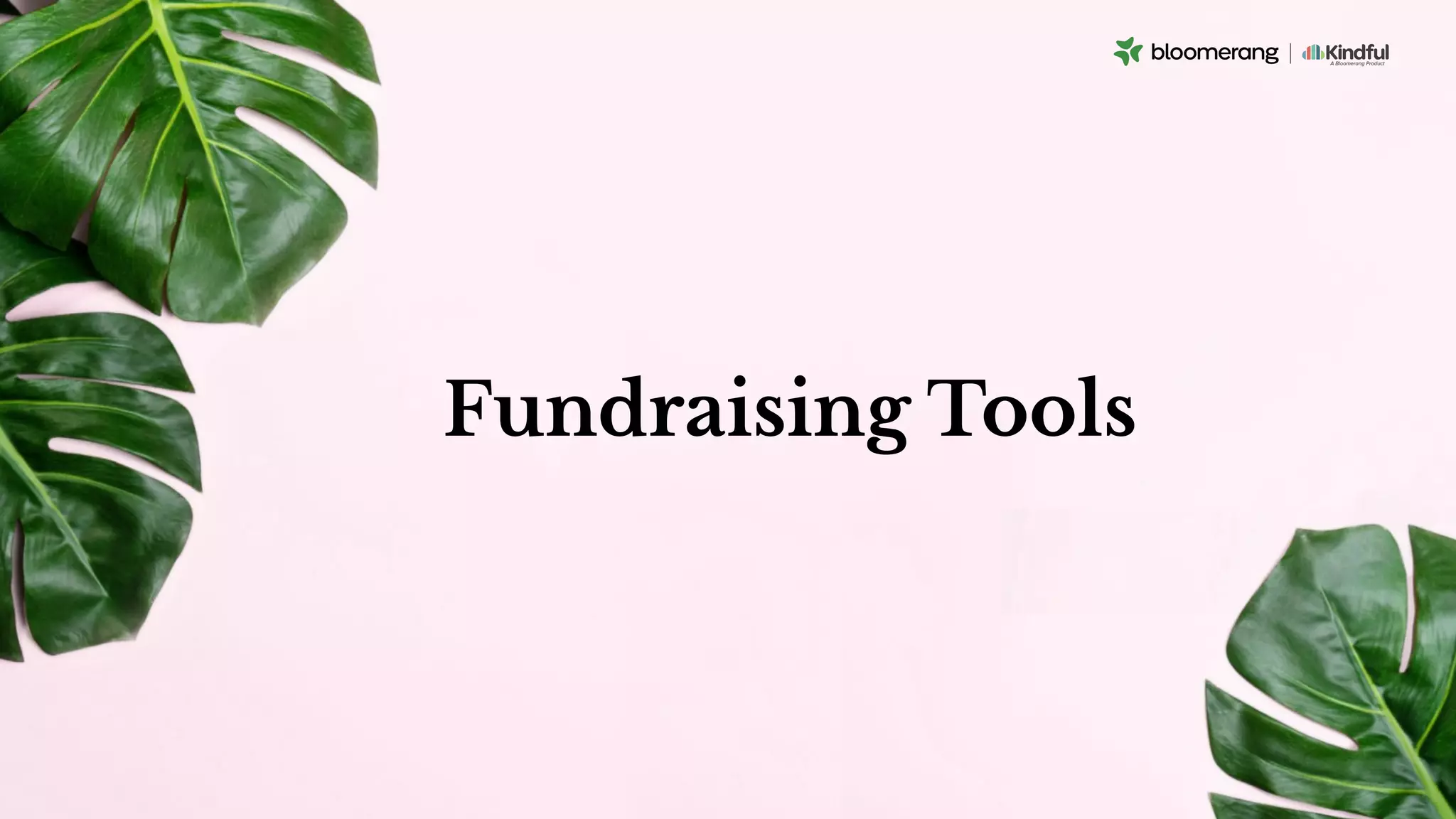 Fundraising Tools
 