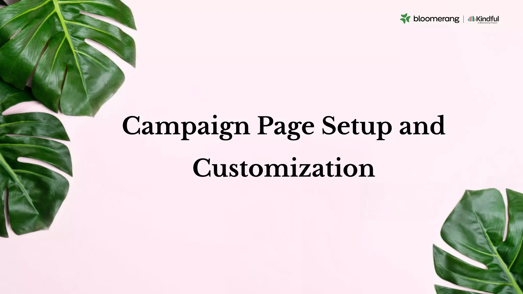 Campaign Page Setup and
Customization
 