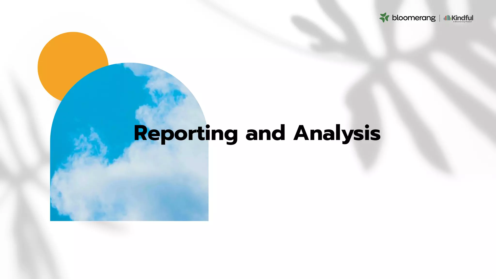 Reporting and Analysis
 