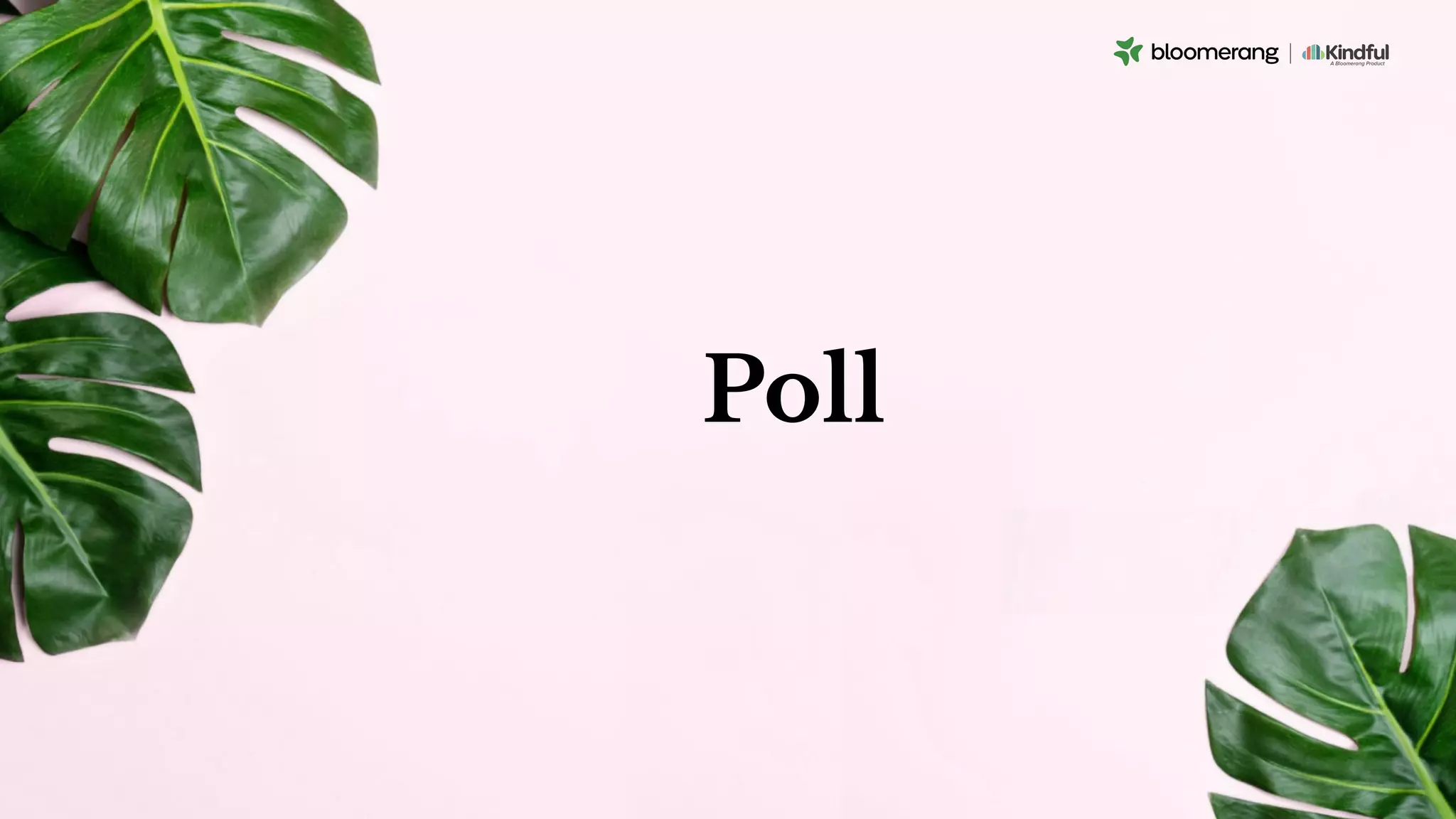 Poll
 