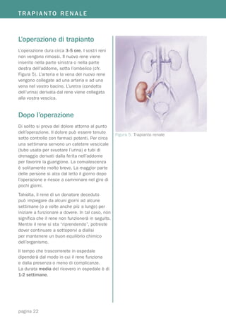 TRAPIANTO RENALE



L’operazione di trapianto
L’operazione dura circa 3-5 ore. I vostri reni
non vengono rimossi. Il nuovo rene viene
inserito nella parte sinistra o nella parte
destra dell’addome, sotto l’ombelico (cfr.
Figura 5). L’arteria e la vena del nuovo rene
vengono collegate ad una arteria e ad una
vena nel vostro bacino. L’uretra (condotto
dell’urina) derivata dal rene viene collegata
alla vostra vescica.


Dopo l’operazione
Di solito si prova del dolore attorno al punto
dell’operazione. Il dolore può essere tenuto
                                                   Figura 5. Trapianto renale
sotto controllo con farmaci potenti. Per circa
una settimana servono un catetere vescicale
(tubo usato per svuotare l’urina) e tubi di
drenaggio derivati dalla ferita nell’addome
per favorire la guarigione. La convalescenza
è solitamente molto breve. La maggior parte
delle persone si alza dal letto il giorno dopo
l’operazione e riesce a camminare nel giro di
pochi giorni.
Talvolta, il rene di un donatore deceduto
può impiegare da alcuni giorni ad alcune
settimane (o a volte anche più a lungo) per
iniziare a funzionare a dovere. In tal caso, non
significa che il rene non funzionerà in seguito.
Mentre il rene si sta “riprendendo”, potreste
dover continuare a sottoporvi a dialisi
per mantenere un buon equilibrio chimico
dell’organismo.
Il tempo che trascorrerete in ospedale
dipenderà dal modo in cui il rene funziona
e dalla presenza o meno di complicanze.
La durata media del ricovero in ospedale è di
1-2 settimane.




pagina 22
 