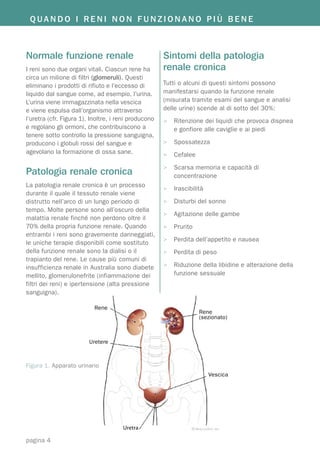 QUANDO I RENI NON FUNZIONANO PIÙ BENE



Normale funzione renale                               Sintomi della patologia
I reni sono due organi vitali. Ciascun rene ha        renale cronica
circa un milione di filtri (glomeruli). Questi
eliminano i prodotti di rifiuto e l’eccesso di        Tutti o alcuni di questi sintomi possono
liquido dal sangue come, ad esempio, l’urina.         manifestarsi quando la funzione renale
L’urina viene immagazzinata nella vescica             (misurata tramite esami del sangue e analisi
e viene espulsa dall’organismo attraverso             delle urine) scende al di sotto del 30%:
l’uretra (cfr. Figura 1). Inoltre, i reni producono   >   Ritenzione dei liquidi che provoca dispnea
e regolano gli ormoni, che contribuiscono a               e gonfiore alle caviglie e ai piedi
tenere sotto controllo la pressione sanguigna,
producono i globuli rossi del sangue e                >   Spossatezza
agevolano la formazione di ossa sane.                 >   Cefalee
                                                      >   Scarsa memoria e capacità di
Patologia renale cronica                                  concentrazione
La patologia renale cronica è un processo
                                                      >   Irascibilità
durante il quale il tessuto renale viene
distrutto nell’arco di un lungo periodo di            >   Disturbi del sonno
tempo. Molte persone sono all’oscuro della
                                                      >   Agitazione delle gambe
malattia renale finché non perdono oltre il
70% della propria funzione renale. Quando             >   Prurito
entrambi i reni sono gravemente danneggiati,
                                                      >   Perdita dell’appetito e nausea
le uniche terapie disponibili come sostituto
della funzione renale sono la dialisi o il            >   Perdita di peso
trapianto del rene. Le cause più comuni di
insufficienza renale in Australia sono diabete        >   Riduzione della libidine e alterazione della
mellito, glomerulonefrite (infiammazione dei              funzione sessuale
filtri dei reni) e ipertensione (alta pressione
sanguigna).

                           Rene
                                                                    Rene
                                                                    (sezionato)



                         Uretere



Figura 1. Apparato urinario
                                                                         Vescica




                                      Uretra

pagina 4
 