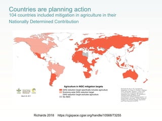 Rethinking Agriculture for the 21st Century: Climate change mitigation opportunities and challenges 
