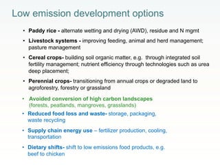 Rethinking Agriculture for the 21st Century: Climate change mitigation opportunities and challenges 