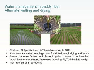 Rethinking Agriculture for the 21st Century: Climate change mitigation opportunities and challenges 
