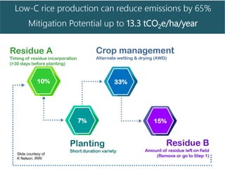 Rethinking Agriculture for the 21st Century: Climate change mitigation opportunities and challenges 