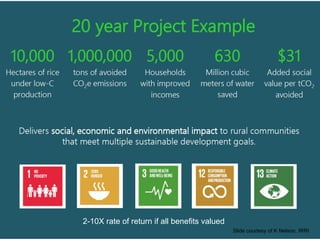 Rethinking Agriculture for the 21st Century: Climate change mitigation opportunities and challenges 