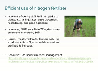 Rethinking Agriculture for the 21st Century: Climate change mitigation opportunities and challenges 