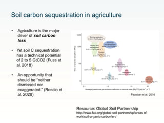 Rethinking Agriculture for the 21st Century: Climate change mitigation opportunities and challenges 