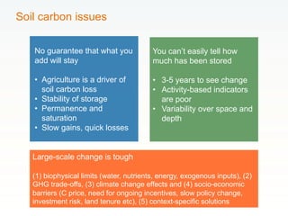 Rethinking Agriculture for the 21st Century: Climate change mitigation opportunities and challenges 