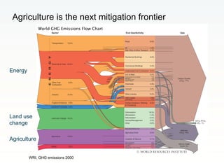 Rethinking Agriculture for the 21st Century: Climate change mitigation opportunities and challenges 