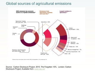 Rethinking Agriculture for the 21st Century: Climate change mitigation opportunities and challenges 