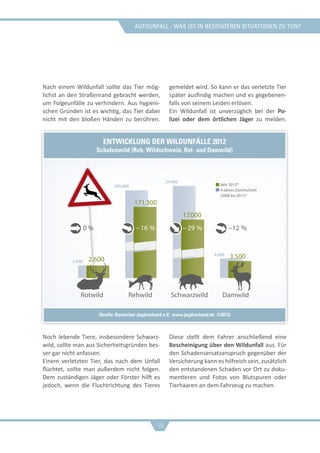 Autounfall - was ist in besonderen situationen zu tun?
Nach einem Wildunfall sollte das Tier mög-
lichst an den Straßenrand gebracht werden,
um Folgeunfälle zu verhindern. Aus hygieni-
schen Gründen ist es wichtig, das Tier dabei
nicht mit den bloßen Händen zu berühren.
Noch lebende Tiere, insbesondere Schwarz-
wild, sollte man aus Sicherheitsgründen bes-
ser gar nicht anfassen.
Einem verletzten Tier, das nach dem Unfall
flüchtet, sollte man außerdem nicht folgen.
Dem zuständigen Jäger oder Förster hilft es
jedoch, wenn die Fluchtrichtung des Tieres
gemeldet wird. So kann er das verletzte Tier
später ausfindig machen und es gegebenen-
falls von seinem Leiden erlösen.
Ein Wildunfall ist unverzüglich bei der Po-
lizei oder dem örtlichen Jäger zu melden.
Diese stellt dem Fahrer anschließend eine
Bescheinigung über den Wildunfall aus. Für
den Schadensersatzanspruch gegenüber der
Versicherung kann es hilfreich sein, zusätzlich
den entstandenen Schaden vor Ort zu doku-
mentieren und Fotos von Blutspuren oder
Tierhaaren an dem Fahrzeug zu machen.
19
Jahr 2012*
4-Jahres-Durchschnitt
(2008 bis 2011)*
2.600
4.000
24.000
205.000
2.600 3.500
17.000
171.300
0 % –12 %–29 %–16 %
DamwildSchwarzwild
* Angaben beruhen auf den gerundeten Fallwildzahlen aus den Bundesländern für die
Jagdjahre 2007/2008 bis 2011/2012.
RehwildRotwild
Entwicklung der Wildunfälle 2012
Schalenwild (Reh, Wildschwein, Rot- und Damwild)
(Quelle: Deutscher Jagdverband e.V. www.jagdverband.de ©2013)
 