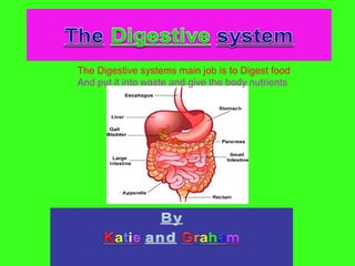 The Digestive systems main job is to Digest food
And put it into waste and give the body nutrients
 