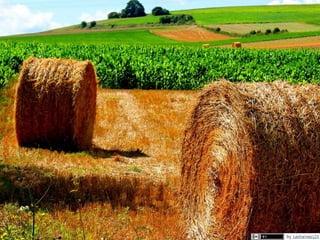 Knowledge Graphs at Elsevier