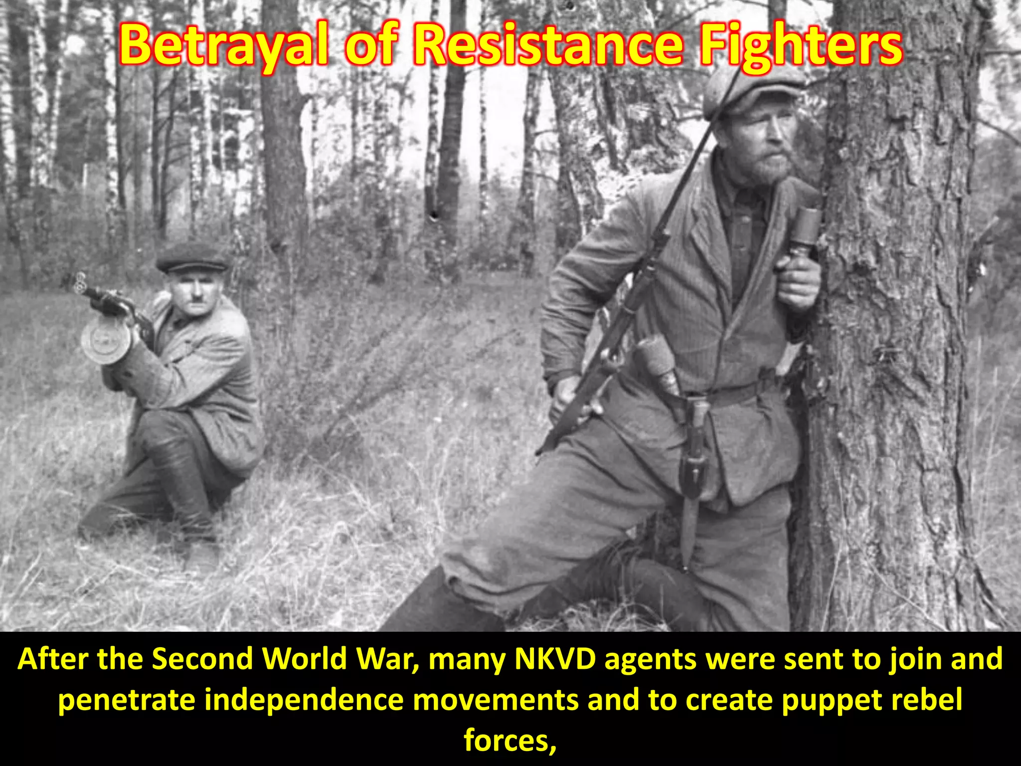 Soviet guerrilla partisans in the forest near Polotsk, Byelorussian SSR
September 1943.
Betrayal of Resistance Fighters
After the Second World War, many NKVD agents were sent to join and
penetrate independence movements and to create puppet rebel
forces,
 