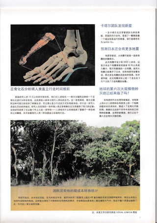 Nirvanaweekly 22 Pdf