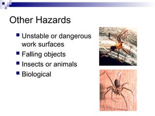 Other Hazards
 Unstable or dangerous
work surfaces
 Falling objects
 Insects or animals
 Biological
 
