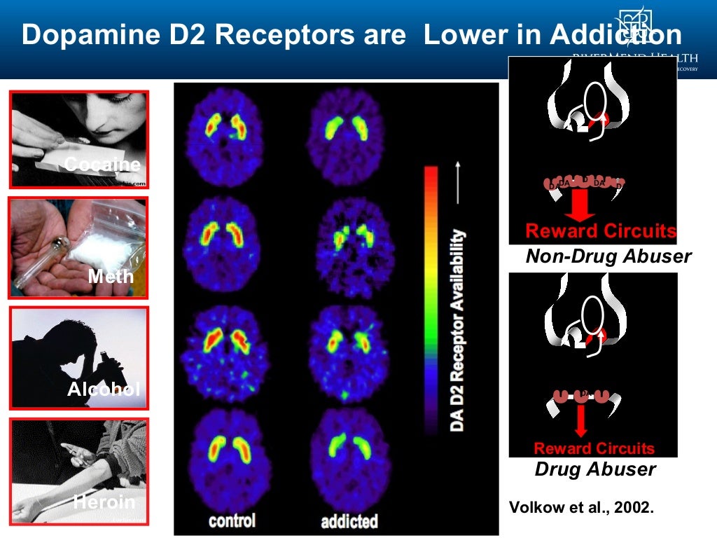 Addiction Scan Vf Chapitre 16