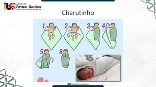Charutinho
 