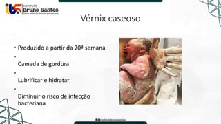 Vérnix caseoso
• Produzido a partir da 20ª semana
•
Camada de gordura
•
Lubrificar e hidratar
•
Diminuir o risco de infecção
bacteriana
 