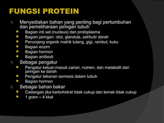 FUNGSI PROTEIN
Menyediakan bahan yang penting bagi pertumbuhan
dan pemeliharaan jaringan tubuh

1.







Bagian inti sel (nucleus) dan protoplasma
Bagian jaringan: otot, glandula, sel/butir darah
Penunjang organik matrik tulang, gigi, rambut, kuku
Bagian enzim
Bagian hormon
Bagian antibodi

Sebagai pengatur

1.




Pengatur keluar-masuk cairan, nutrien, dan metabolit dari
jaringan ke darah
Pengatur tekanan osmosis dalam tubuh
Bagian hormon

Sebagai bahan bakar

1.



Cadangan jika karbohidrat tidak cukup dan lemak tidak cukup
1 gram ≈ 4 kkal

 