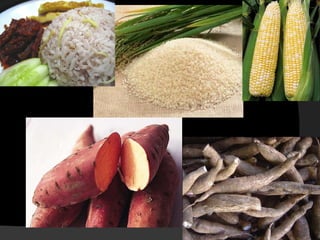 ITP UNS Semester 3, Pangan dan Gizi: Kharbohidrat lemak protein