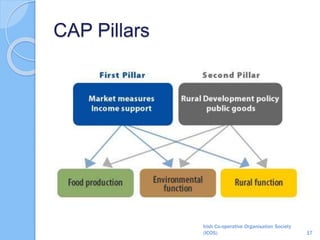 CAP Pillars
Irish Co-operative Organisation Society
(ICOS) 17
 