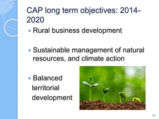 CAP long term objectives: 2014-
2020
 Rural business development
 Sustainable management of natural
resources, and climate action
 Balanced
territorial
development
32
 