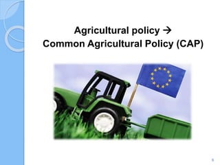Agricultural policy 
Common Agricultural Policy (CAP)
5
 