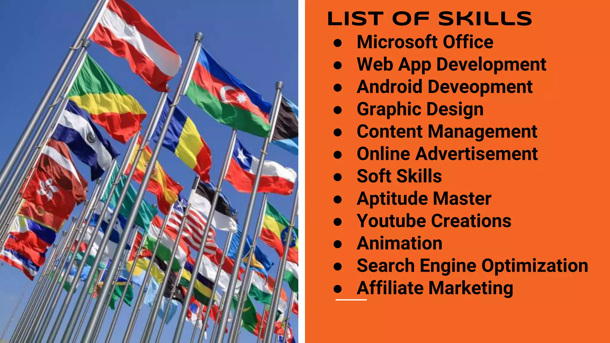 List of Skills
● Microsoft Office
● Web App Development
● Android Deveopment
● Graphic Design
● Content Management
● Online Advertisement
● Soft Skills
● Aptitude Master
● Youtube Creations
● Animation
● Search Engine Optimization
● Affiliate Marketing
 