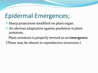 Epidermal Emergences;
 Sharp projections modified on plant organ.
 An obvious adaptation against predation is plant
armature.
Plant armature is properly termed as an emergence.
(These may be absent in reproductive structures.)
 
