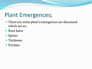 Plant Emergences;
 There are some plant’s emergences are discussed
which are as;
 Root hairs
 Spines
 Trichome
 Prickles
 
