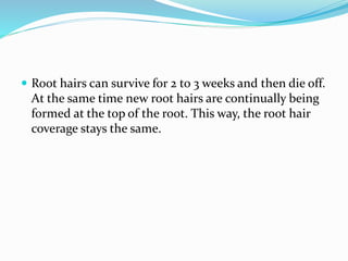  Root hairs can survive for 2 to 3 weeks and then die off.
At the same time new root hairs are continually being
formed at the top of the root. This way, the root hair
coverage stays the same.
 