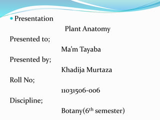  Presentation
Plant Anatomy
Presented to;
Ma’m Tayaba
Presented by;
Khadija Murtaza
Roll No;
11031506-oo6
Discipline;
Botany(6th semester)
 