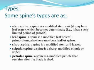 Types;
Some spine’s types are as;
 stem spine: a spine is a modified stem axis (it may have
leaf scars), which becomes determinate (i.e., it has a very
limited period of growth).
 leaf spine: a spine is a modified leaf or leaf
primordium; also there may be a leaflet spine.
 shoot spine: a spine is a modified stem and leaves.
 stipular spine: a spine is a sharp, modified stipule or
stipel.
 petiolar spine: a spine is a modified petiole that
remains after the blade is shed.
 